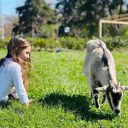 Alpaca Village - Angolo Di Paradiso Prázdninový dům Colli del Tronto